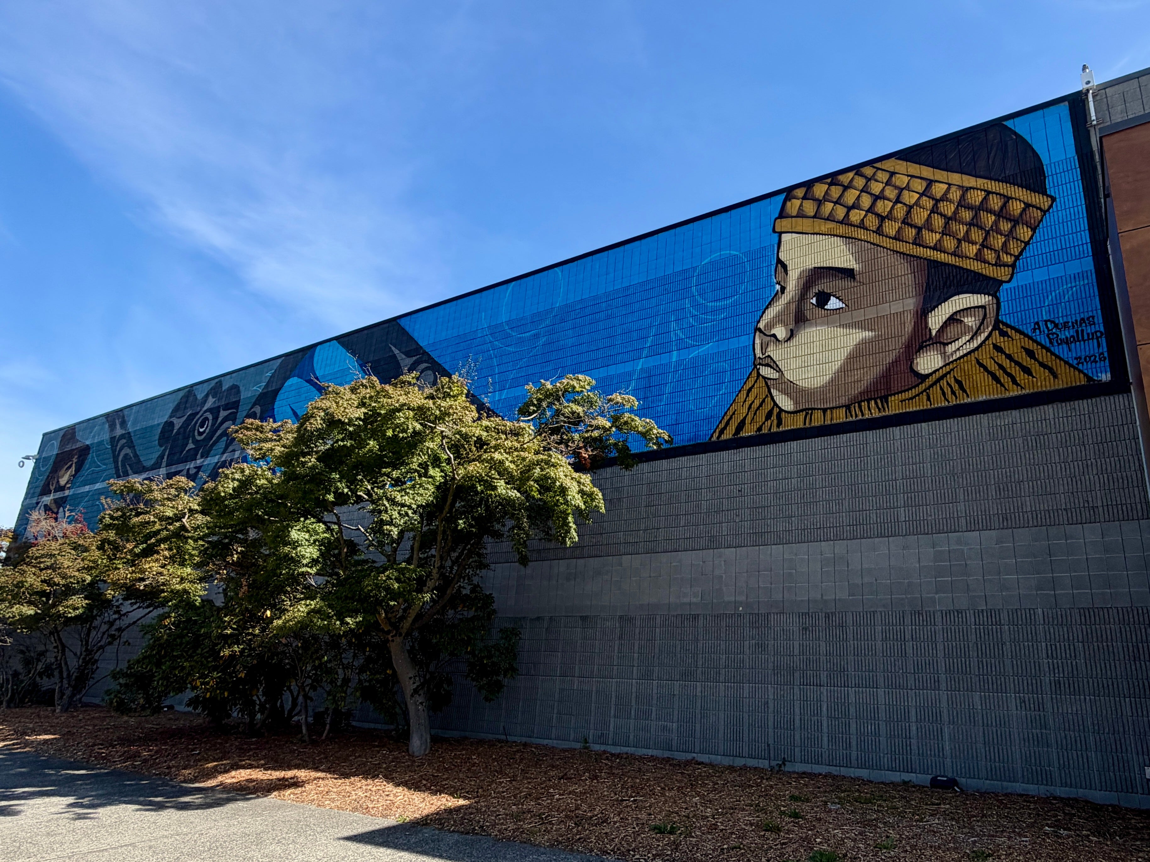 More Info for Tacoma Dome Unveils Salish Mural 